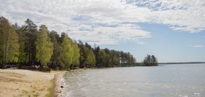 A beach with trees and a body of water