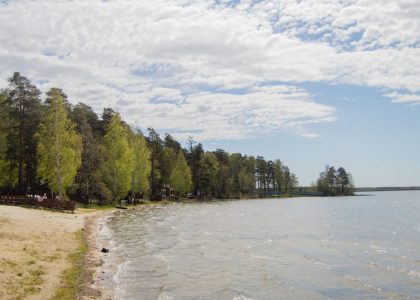 A beach with trees and a body of water